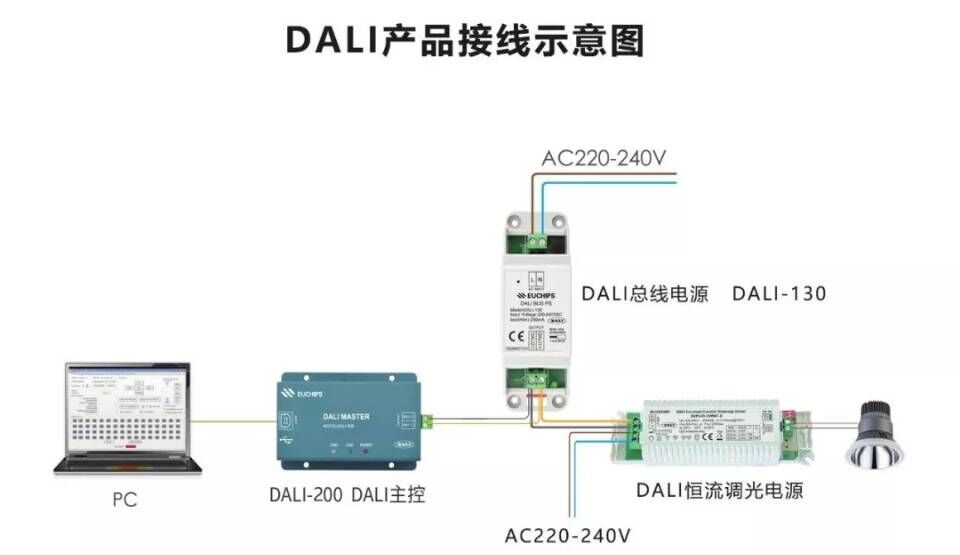 DALI{aƷӾʾD